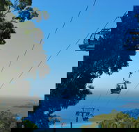 Arthurs Seat Eagle - Taree Accommodation