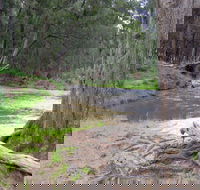Bangadilly National Park - Taree Accommodation