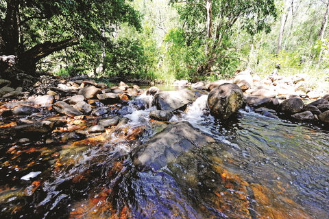 Boyne Valley - Taree Accommodation 1