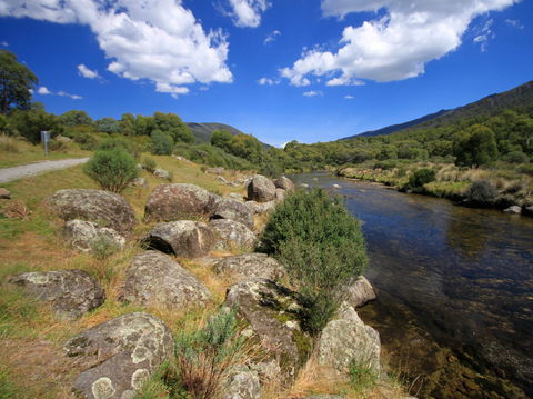 Bullocks Walking Track - Taree Accommodation 1