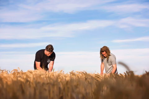 Corowa Distilling Co - Taree Accommodation 1