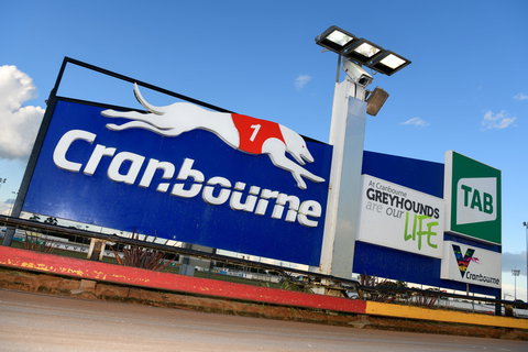 Cranbourne Greyhound Racing Club - Taree Accommodation 0