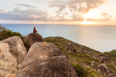 Fitzroy Island National Park - Taree Accommodation 1