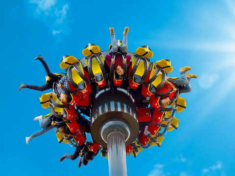 Funfields Theme Park - Taree Accommodation 2