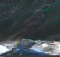 Gardners Falls - Taree Accommodation