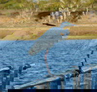 Groper Creek - Taree Accommodation