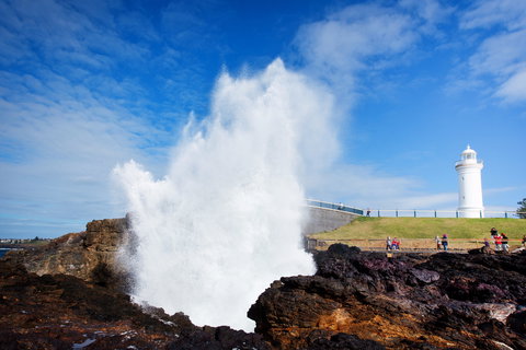 Kiama Blowhole - Taree Accommodation 0