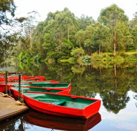 Lane Cove National Park - Taree Accommodation