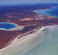 Little Lagoon - Taree Accommodation