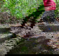 Maiala - Taree Accommodation