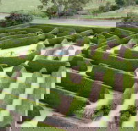 Mintaro Maze - Taree Accommodation
