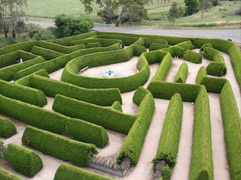 Mintaro Maze - Taree Accommodation 0