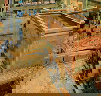 Mountain Maid gold mine - Taree Accommodation