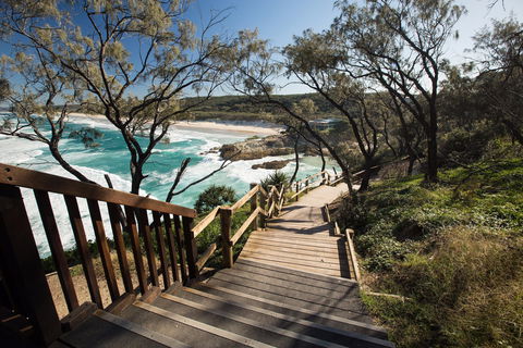 North Gorge Walk, Point Lookout - Taree Accommodation 0