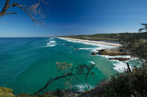 North Gorge Walk, Point Lookout - Taree Accommodation 2