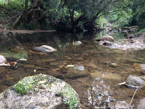 Otford Farm Horse Riding - Taree Accommodation 2
