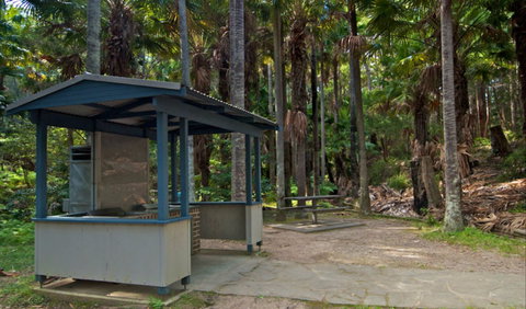 Palms Picnic Area - Taree Accommodation 1