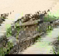 Pebbly Beach to Snake Bay walking track - Taree Accommodation