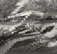 Pioneer Park - Taree Accommodation