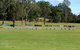 Port Macquarie Driving Range And Mini Golf - thumb 1