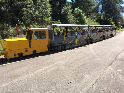 Riding The Rails - Taree Accommodation 1