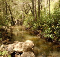 Sandy Creek Track - Taree Accommodation