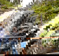 Steavenson Falls - Taree Accommodation