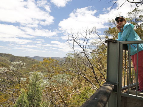 Sundown National Park - Taree Accommodation 1