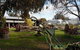 The Nathalia And District Historical Society Museum - thumb 0