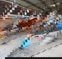 The Equine Club - Taree Accommodation