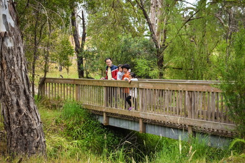 Westerfolds Park - Taree Accommodation 0