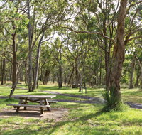 Wollomombi Gorge and Falls Picnic Area - Taree Accommodation