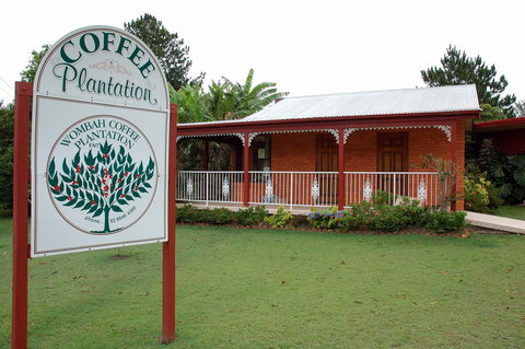 Wombah Coffee Plantation - Taree Accommodation 0
