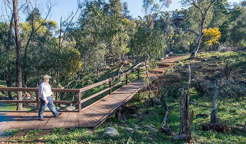 Falcon Falls Walking Track - Taree Accommodation 0