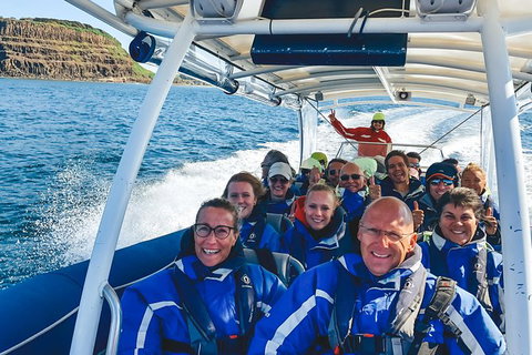 Premier Whale Watching Byron Bay - Taree Accommodation 1
