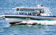 Premier Whale Watching Byron Bay - thumb 7