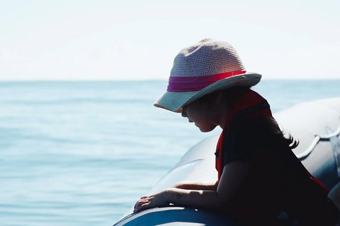 Premier Whale Watching Byron Bay - Taree Accommodation 3