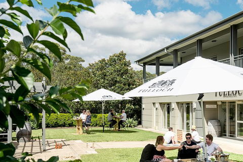 Tulloch Wines- Premium Museum Aged Wine Tasting With Cheese And Charcuterie - Taree Accommodation 7