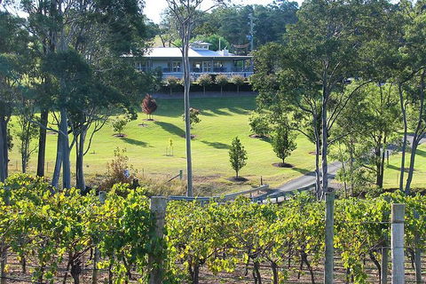 Tulloch Wines- Premium Museum Aged Wine Tasting With Cheese And Charcuterie - Taree Accommodation 5