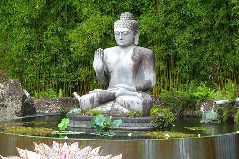 Crystal Castle Shuttle From Byron Bay (full Day) - Taree Accommodation 0