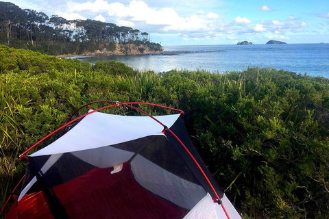 Batemans Bay Overnight Kayak Camping Tour - All Inclusive - Taree Accommodation 0