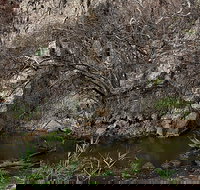 Brisbane Ranges National Park - Taree Accommodation