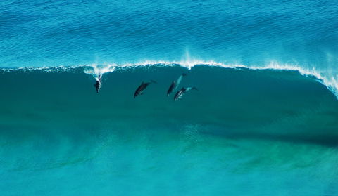 Sand Patch - Taree Accommodation 1