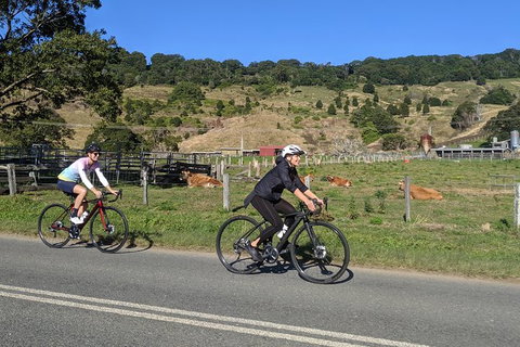 5 Hour - Byron Bay Cycling Tour + Lunch - Taree Accommodation 15