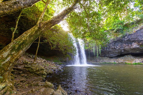 Half-Day Best Of Byron Sightseeing Tour - Taree Accommodation 0