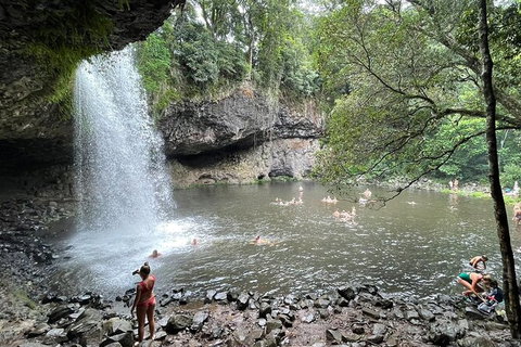 Behind The Bay - Explore Like A Local - Taree Accommodation 9