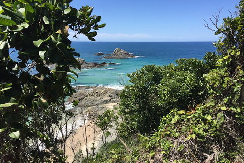 Behind The Bay - Explore Like A Local - Taree Accommodation 12