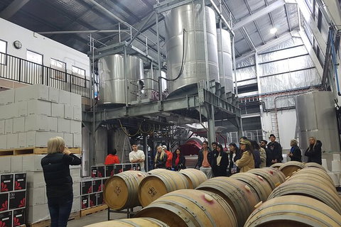 Hunter Valley Small Group Wine, Gin, Cheese & Chocolate Tour - Taree Accommodation 6