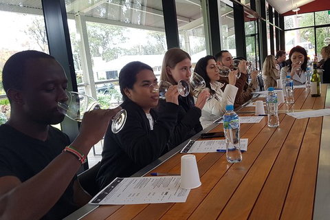 Hunter Valley Small Group Wine, Gin, Cheese & Chocolate Tour - Taree Accommodation 3