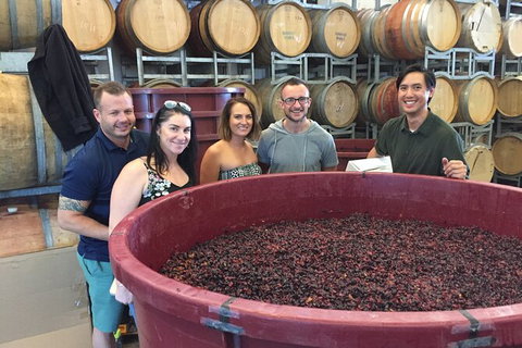 Hunter Valley Small Group Wine, Gin, Cheese & Chocolate Tour - Taree Accommodation 0